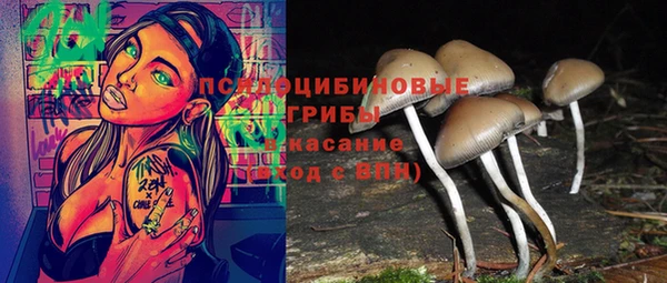 прущая мука Беломорск