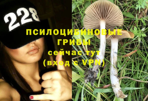 винт Белокуриха